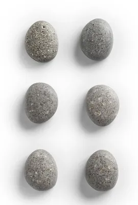 Produktbild von Magnete 6Stk Motiv Stein 2,1x1,8x1cm