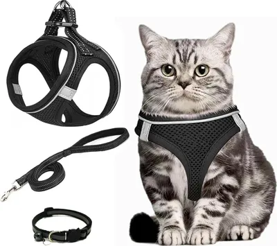 Imagen del producto de Arnés para perros ajustable, talla S, para perros pequeños, gatos y conejos, collar de seguridad