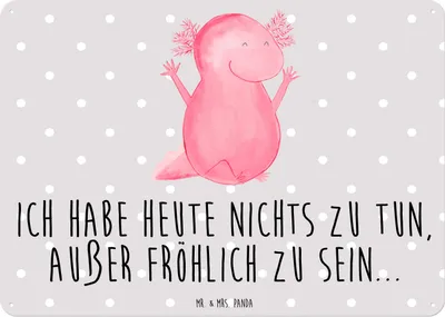 Produktbild von Mr. & Mrs. Panda tafel Axolotl Hurra DIN A6 - Grau Pastell - Geschenk, Türschild, Lurch, Schwanzlurch, Fröhlich, Retro Blechschild, Schild, Deko, Wandbild