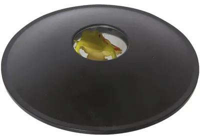 Image de 3D Miraskop.