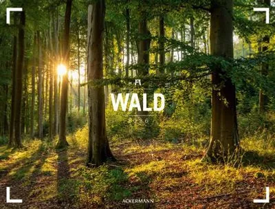 Zdjęcie produktu dla Kalendarz Forest Gallery 2026