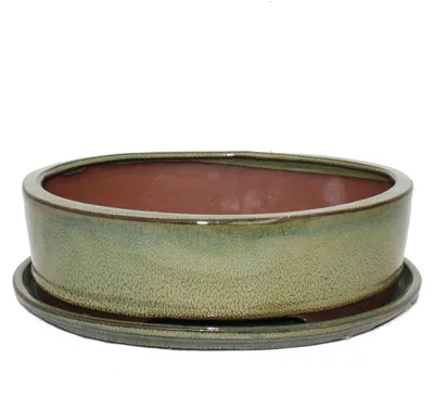 Produktbild von Bonsai-Schale mit Unterteller Gr. 4 - Oliv-Braun - oval - Modell O1 - L 25cm - B 20cm - H 7,5cm