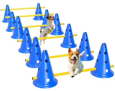 Produktbild von Agility Set Hunde 6-teiliges Agility-Ausrüstung für Hundetraining mit