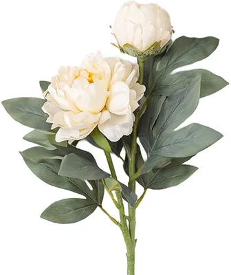 Produktbild von Clayre & Eef 5PL0377W Dekorativer Zweig mit Blumen Weiß Grün 73 cm