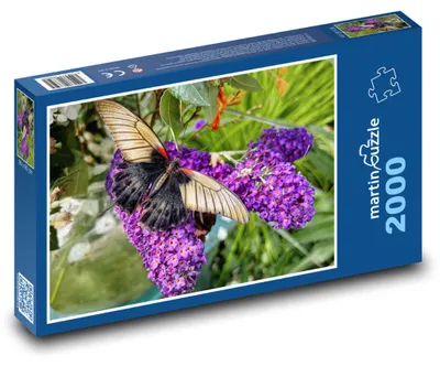 Obrázek produktu pro Puzzle 2000 Motýl na květině - martinpuzzle