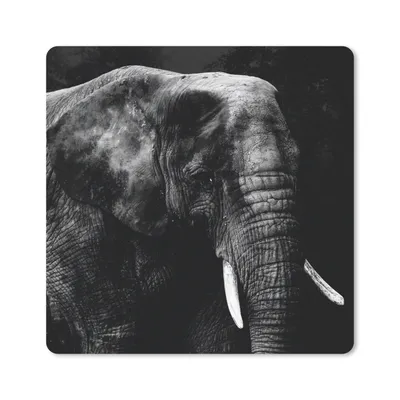 Produktbild von MuchoWow® Mauspad Mousepad Elefant - Tiere - Schwarz - Weiß 20x20 cm - Mousepads - Maus Mat - Pad - Mausunterlage - Desk Mat - Bureauartikeln