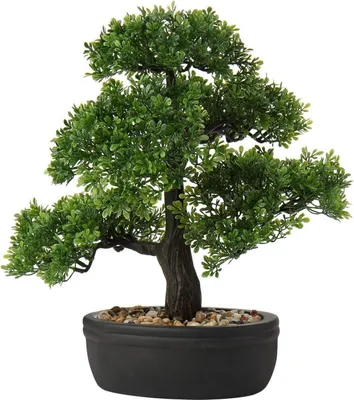 Image de Bonzaï artificiel Podocarpus Plante artificielle Noir Cache-pot en céramique