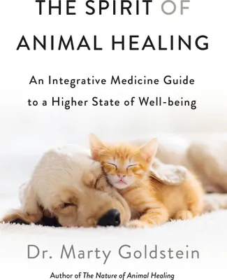 Produktbild von Spirit of Animal Healing