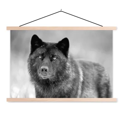 Produktbild von MuchoWow® Textilposter Schwarzer Wolf in Schwarz und Weiß 120x80 cm mit holzfarbenen Rahmen - Aufhängeset
