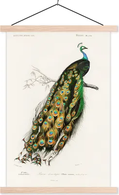 Produktbild von MuchoWow® Textilposter Vogel - Pfau - Vintage 40x60 cm mit holzfarbenen Rahmen - Poster