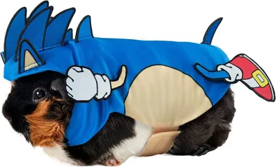 Produktbild von Sonic The Hedgehog - Kleintierkostüm BN4933 (XS) (Blau/Cremefarbe)