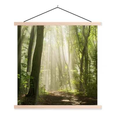 Produktbild von MuchoWow® Textilposter Wald - Licht - Natur - Landschaft 40x40 cm mit holzfarbenen Rahmen - Posterleiste