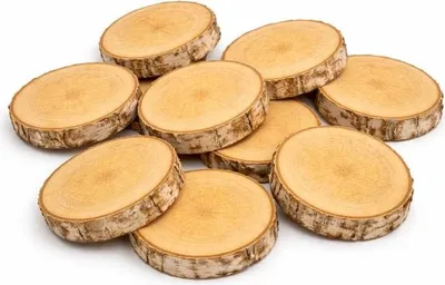 Produktbild von Holzscheibe 6-8 / 1 cm Birke ungeschliffen Set 10 Stück