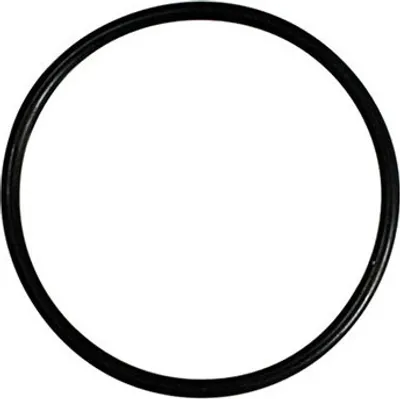 Produktbild von Afriso O-Ring für Heizölfilter zum Abdichtung Filtertasse / Filterkopf 20422