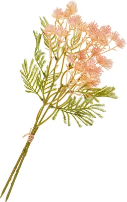 Produktbild von Blütenstand-Zweig Rose