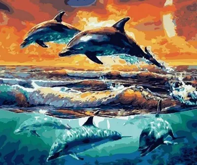 Produktbild von Malen nach Zahlen: Delfin, 40X50 Cm