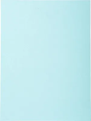 Produktbild von Exacompta 5x 100er Aktendeckel Recycling 24x32cm - Hellblau - 420006E