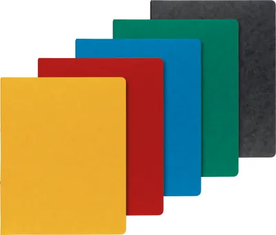 Produktbild von BRUNNEN Ringbuch A4 FACT!plus 2-Ringe 15mm sortiert 1065509