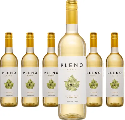 Produktbild von 6 x Bodegas Agronavarra Pleno Blanco Semi-Dry