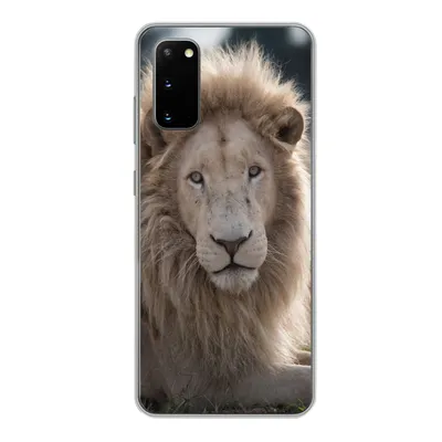 Produktbild von MuchoWow® Handyhülle Schutzhülle Hülle für Samsung Galaxy S20 Löwe - Tier - Weiß Silikon Softcase Handy Hülle - Bild