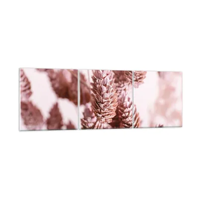 Produktbild von Bilder auf glas - 3 Teile - Getrocknet Blume Eco - 90x30cm - Glasbilder - Wandbilder - Bilder - zum Aufhängen bereit - Wanddekoration aus Glas - Glas Bilder - Wandbild auf Glas - GCA90x30-4912