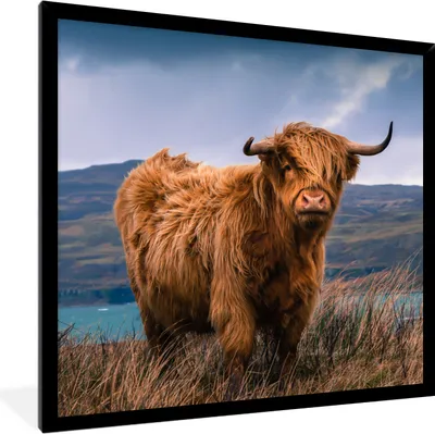 Produktbild von MuchoWow® Gerahmtes Poster Schottische Highlander - Himmel - Natur 40x40 cm - Poster mit Schwarzem Bilderrahmen Wandposter Rahmen Foto Bilder - Mit Rahmen - Wanddekoration Schlafzimmer