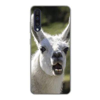 Produktbild von MuchoWow® Handyhülle Schutzhülle Hülle für Samsung Galaxy A30s Lama - Lustig - Kinder - Jungen - Mädchen - Kinder Silikon Softcase Handy Hülle - Karteninhaber