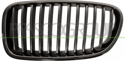 Produktbild von PRASCO BM0492004 Kühlergrill Frontgrill für BMW 5 Touring (F11) Links Schwarz
