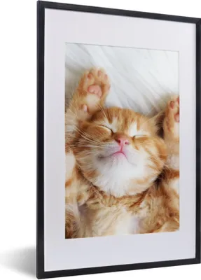 Produktbild von MuchoWow® Gerahmtes Poster Katze - Rot - Haustiere - Kätzchen 40x60 cm - Poster mit Schwarzem Bilderrahmen Wandposter Rahmen Foto Bilder - Poster in Rahmen