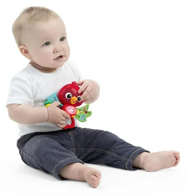 Imagen del producto de Juguete musical Baby Einstein Roxy's Bright Flight