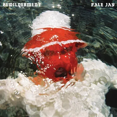 Produktbild von Bewilderment
