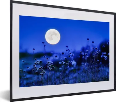 Produktbild von MuchoWow® MuchoWow® Gerahmtes Poster Blumen - Mond - Lila 40x30 cm - Poster mit zchwarzem Bilderrahmen - Bilderrahmen - Poster im Rahmen