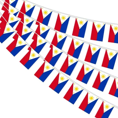 Produktbild von Wimpelkette Philippinen 30 Flaggen 10m Polyester 14x21cm für Deko