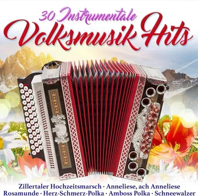 Productafbeelding van 30 instrumentale volksmuziek hits
