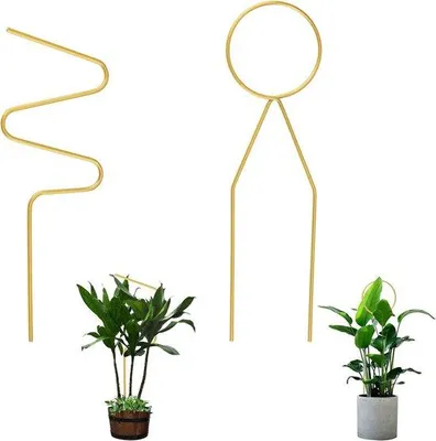 Immagine prodotto di Portavasi per piante da appartamento (piccoli)