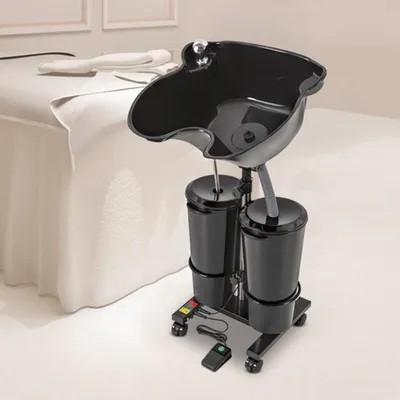 Image de Bac de shampooing portable - Unité de lavage des cheveux mobile avec deux réservoirs d'eau, de couleur noire