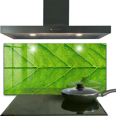 Produktbild von Spritzschutz aus Glas Küchenrückwand - Wandschutz für Herd und Spüle - 120x60 cm - Zartes Blattendetail