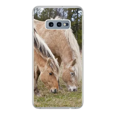 Produktbild von MuchoWow® Handyhülle Schutzhülle Hülle für Samsung Galaxy S10e Zwei grasende Fjordpferde auf einer Wiese Silikon Softcase Handy Hülle - Handy
