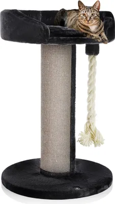 A cat is resting on a black cat tree with a scratching post and a rope toy.