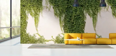 Produktbild von NEWROOM Tapete Ditron Grün Vliestapete - Modern Efeu Pflanzen  Germany