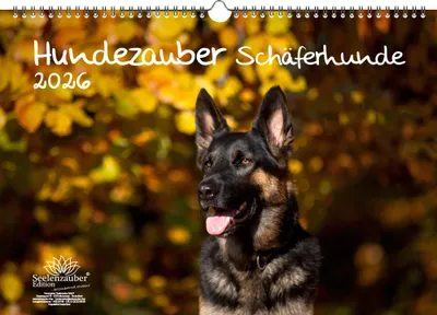 Produktbild von Hundezauber Schäferhunde DIN A3 Kalender für 2026 Welpen und Hunde - Seelenzauber