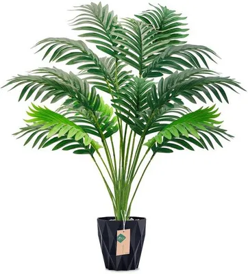 Zdjęcie produktu dla Sztuczna palma 71,1 cm, czarna, do wnętrz i na zewnątrz, salon, taras
