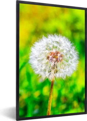 Produktbild von MuchoWow® Gerahmtes Poster Löwenzahn - Gras - Blume 60x90 cm - Poster mit Schwarzem Bilderrahmen Wandposter Rahmen Foto Bilder - Kunst