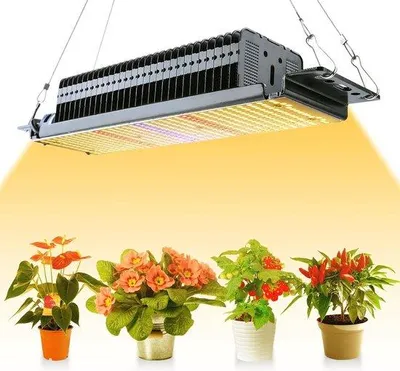 Image de Ampoule LED 300 W pour plantes, spectre complet vert