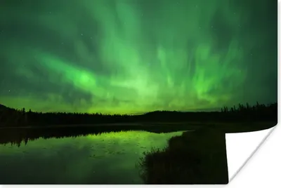 Produktbild von MuchoWow® Poster Nordlichter - Baum - Alaska 180x120 cm - Fotoplakat