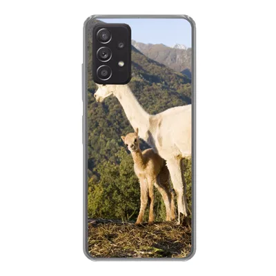 Produktbild von MuchoWow® Handyhülle Schutzhülle Hülle für Samsung galaxy a73 Alpakas - Berge - Natur Silikon Softcase Handy Hülle - Handyhülle