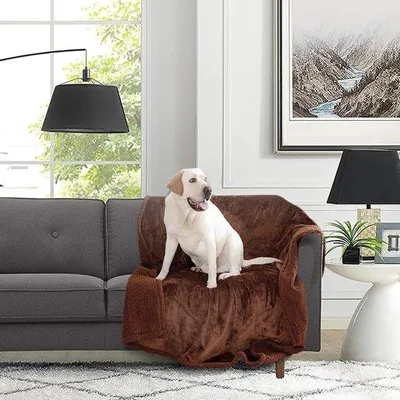 Produktbild von Famanu Hundedecke Weiche, waschbare Decke für Haustierbetten - 28 x 39 cm