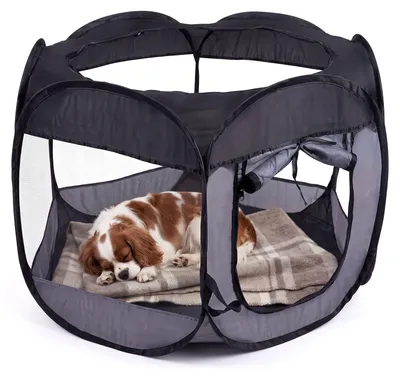 Image de Pet Comfort Grande boîte pliable et tente pour animaux de compagnie