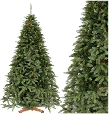 Zdjęcie produktu dla Choinka Świerk Królewski Syberyjski 220 cm