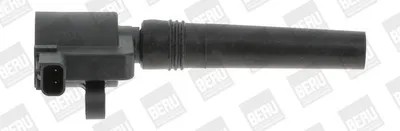 Produktbild von BorgWarner (BERU)